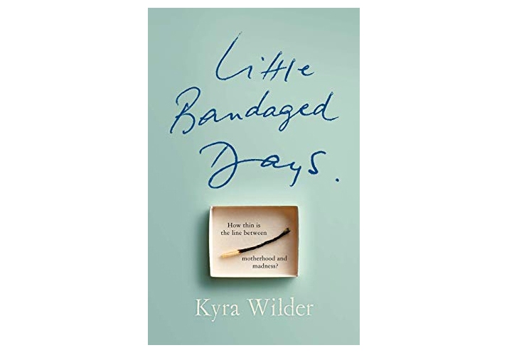 Little Bandaged Days Kyra Wilder Book Review
